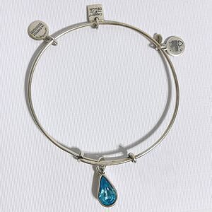 Alex and Ani Bangle Bracelet Blue Swarovski Crystal Birthstone Silver Tone Charm